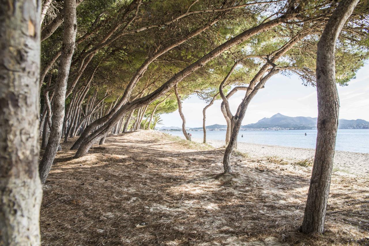 Beach Inn Port d'Alcúdia Extérieur photo