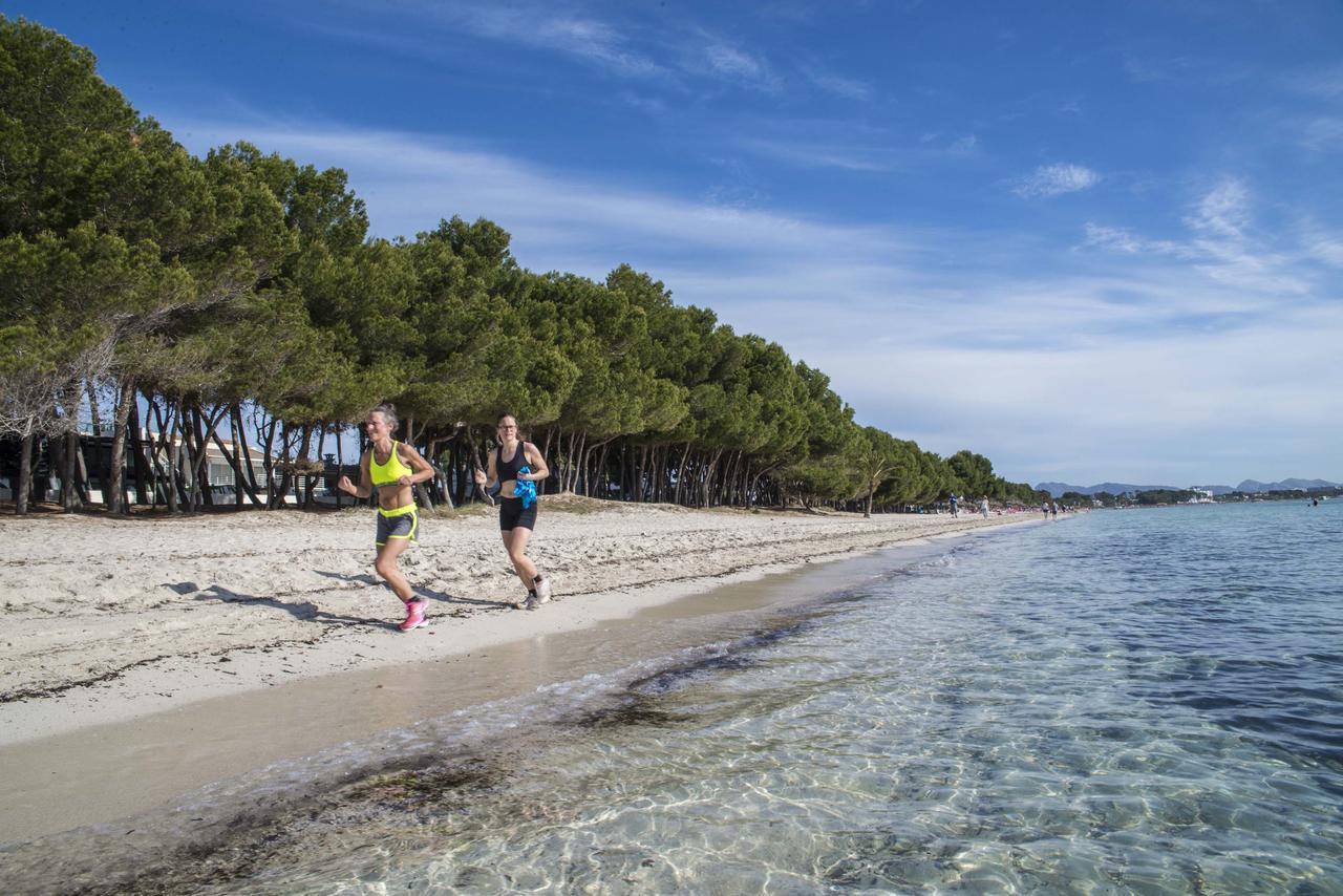 Beach Inn Port d'Alcúdia Extérieur photo