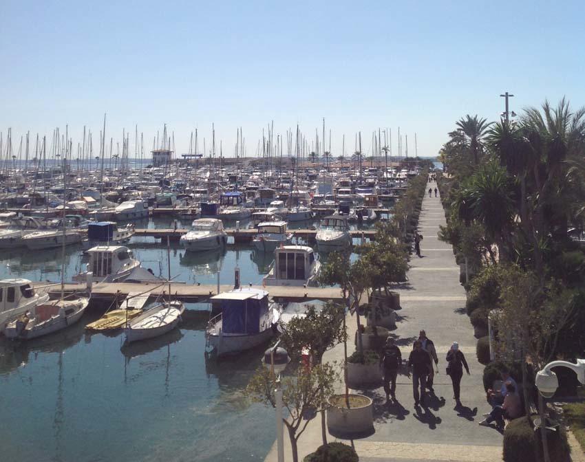 Beach Inn Port d'Alcúdia Extérieur photo