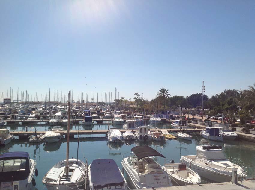 Beach Inn Port d'Alcúdia Extérieur photo